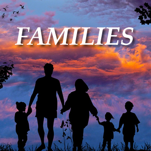 Mediation & Conflict Resolution for Families